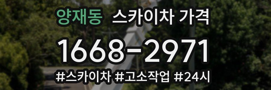 양재동 스카이차 가격