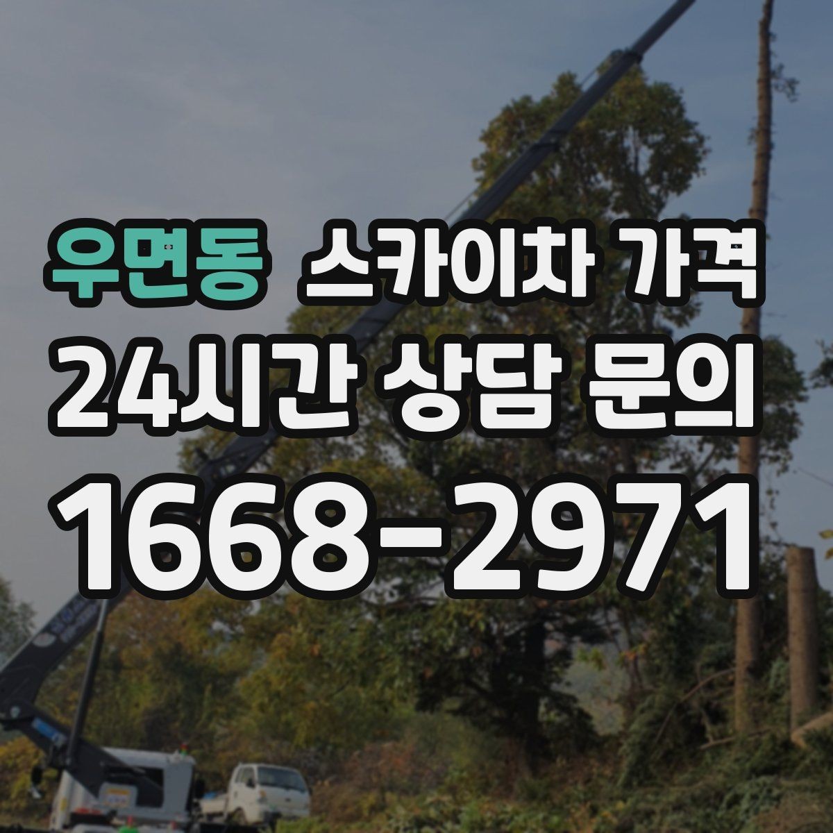우면동 스카이차 가격 짧은 작업인데도 견적이 큰 이유