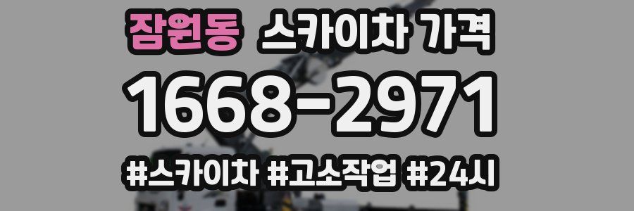 잠원동 스카이차 가격