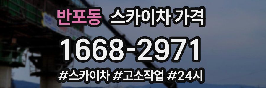 반포동 스카이차 가격