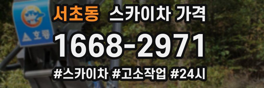 서초동 스카이차 가격