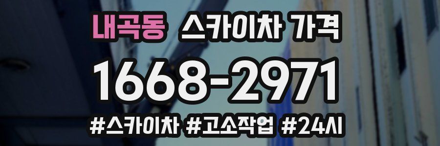 내곡동 스카이차 가격