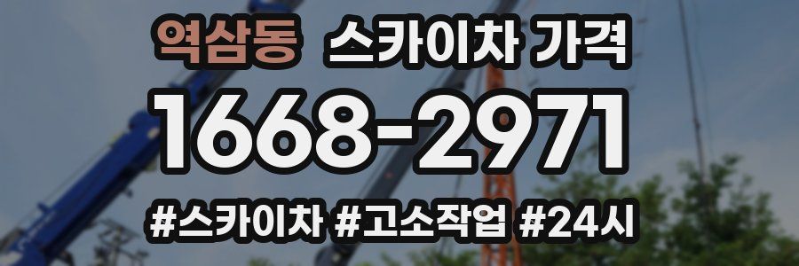 역삼동 스카이차 가격