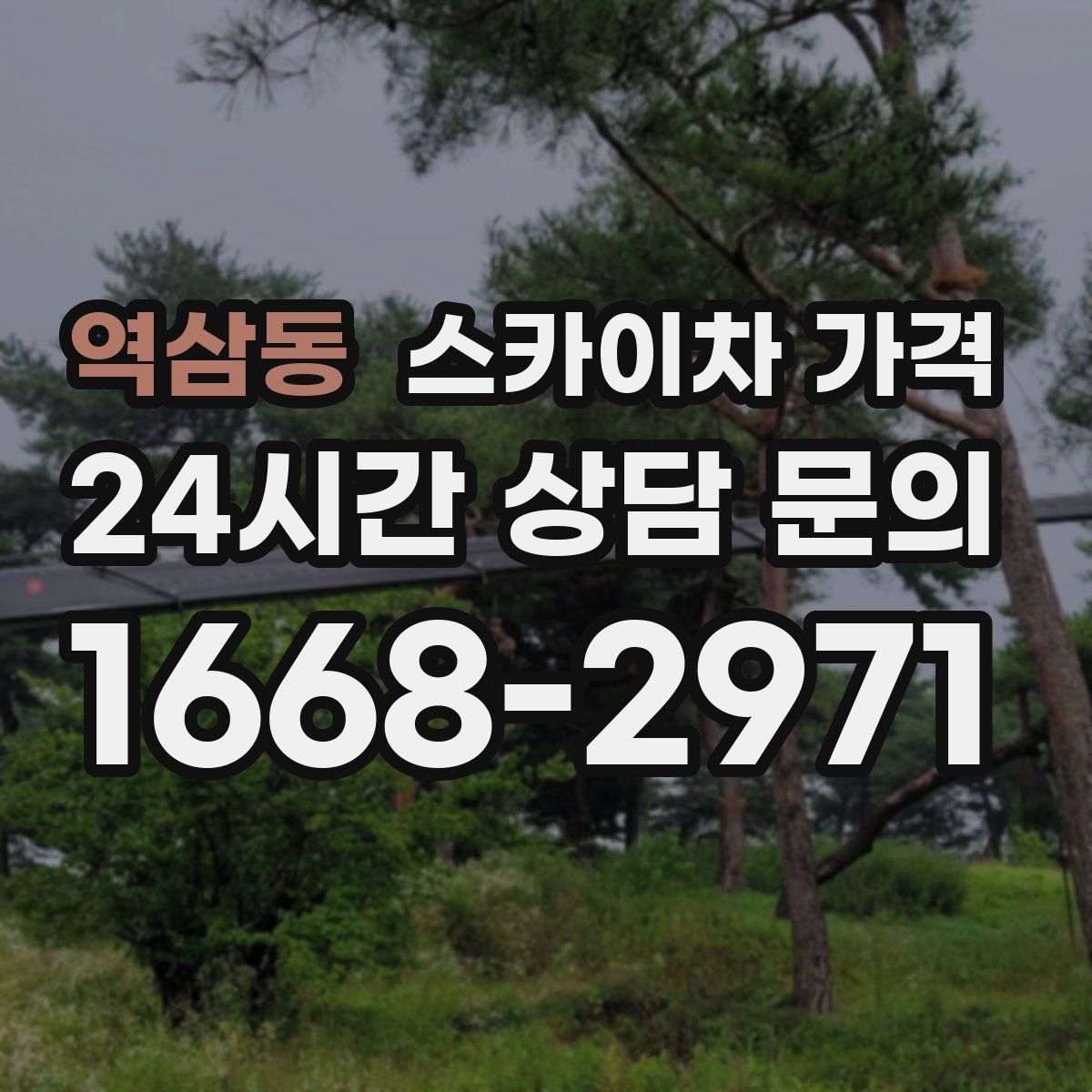 역삼동 스카이차 가격