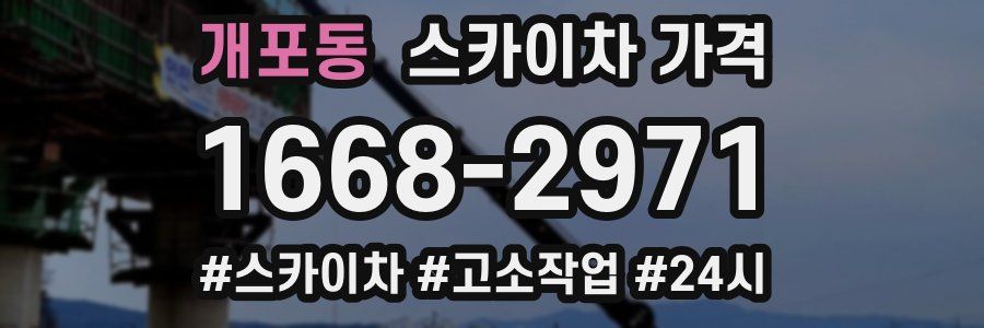 개포동 스카이차 가격