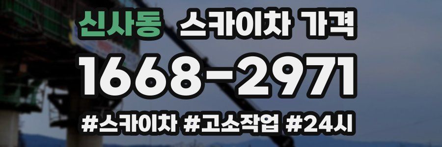 신사동 스카이차 가격