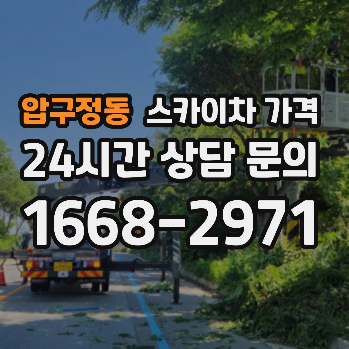 압구정동 스카이차 가격