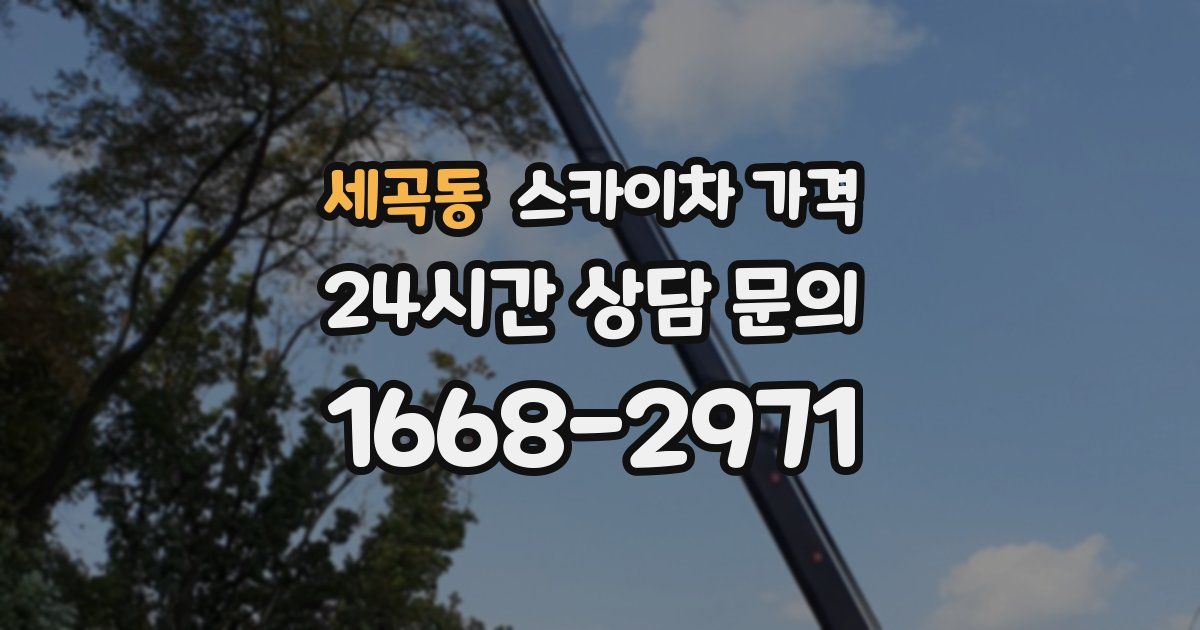 세곡동 스카이차 가격