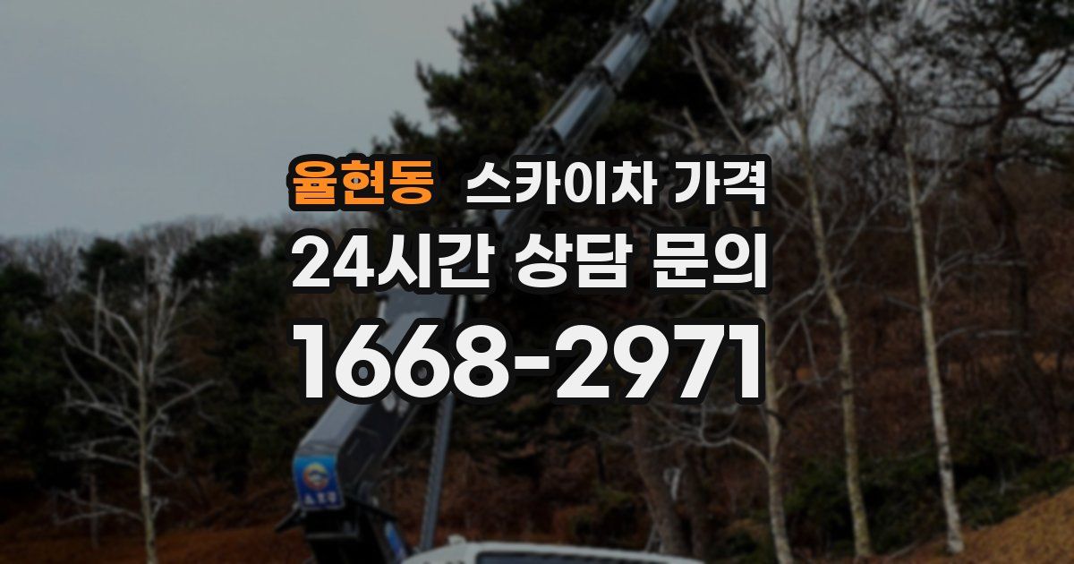 율현동 스카이차 가격