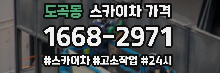 도곡동 스카이차 가격