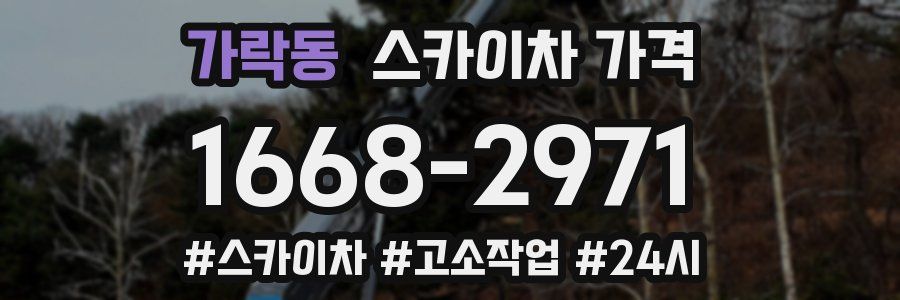 가락동 스카이차 가격