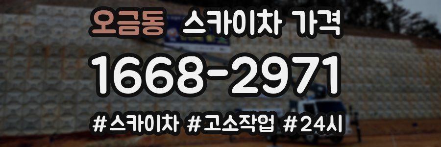 오금동 스카이차 가격