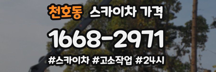 천호동 스카이차 가격