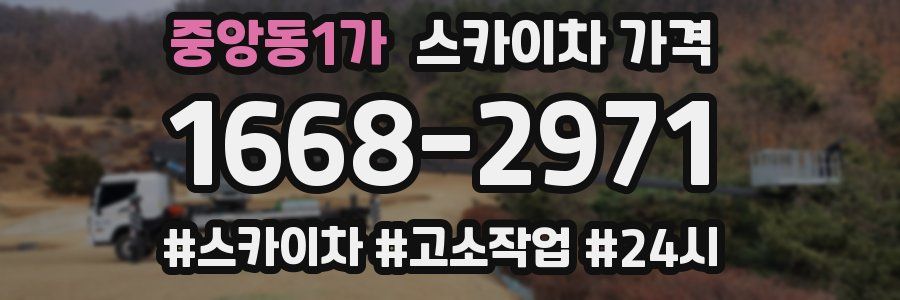 중앙동1가 스카이차 가격