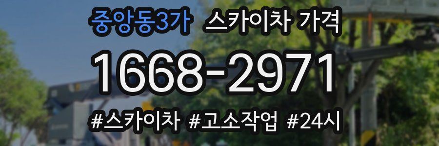 중앙동3가 스카이차 가격