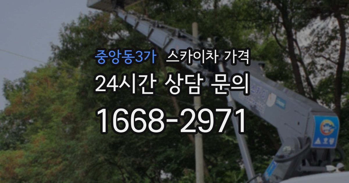 중앙동3가 스카이차 가격