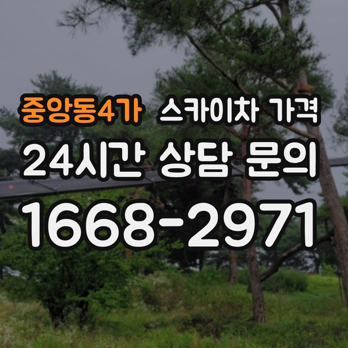 중앙동4가 스카이차 가격