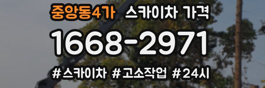 중앙동4가 스카이차 가격