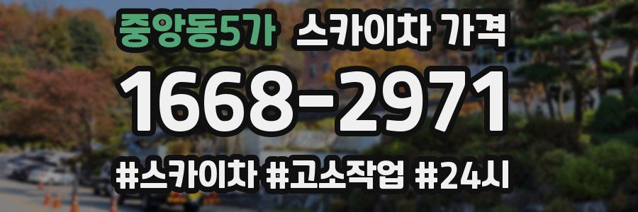 중앙동5가 스카이차 가격