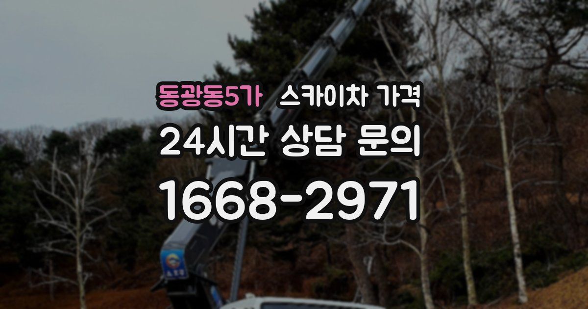 동광동5가 스카이차 가격