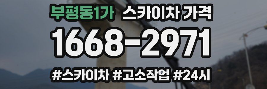 부평동1가 스카이차 가격