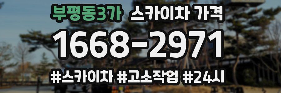 부평동3가 스카이차 가격