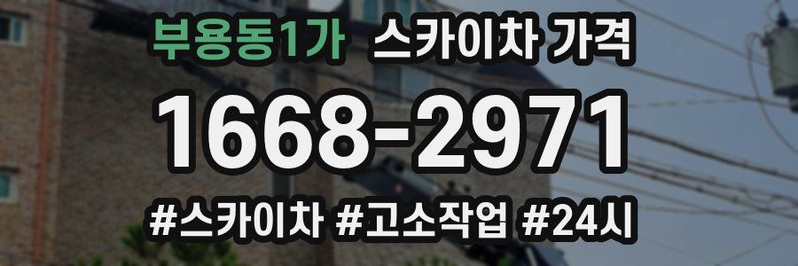 부용동1가 스카이차 가격