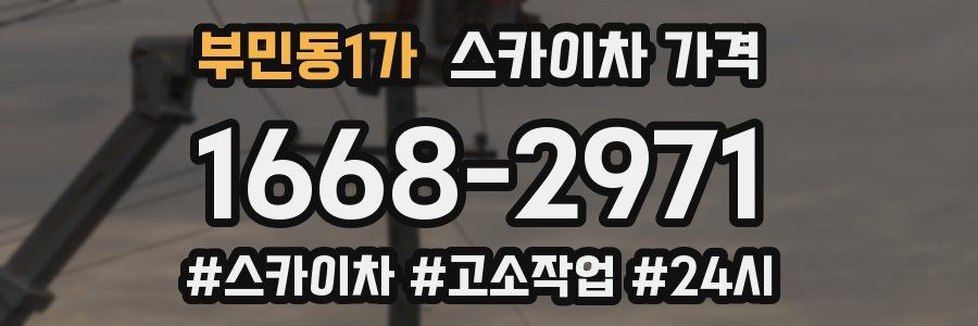 부민동1가 스카이차 가격