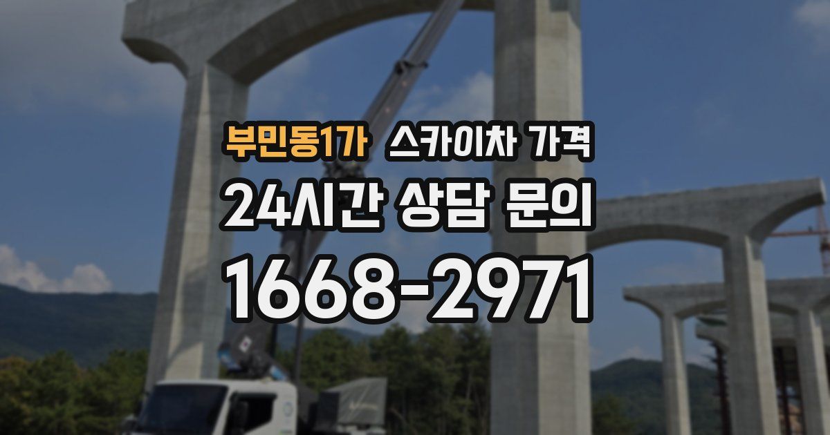 부민동1가 스카이차 가격