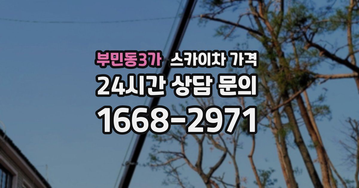 부민동3가 스카이차 가격