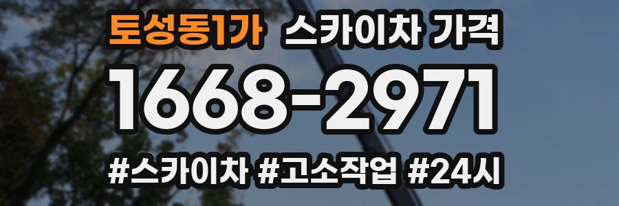 토성동1가 스카이차 가격