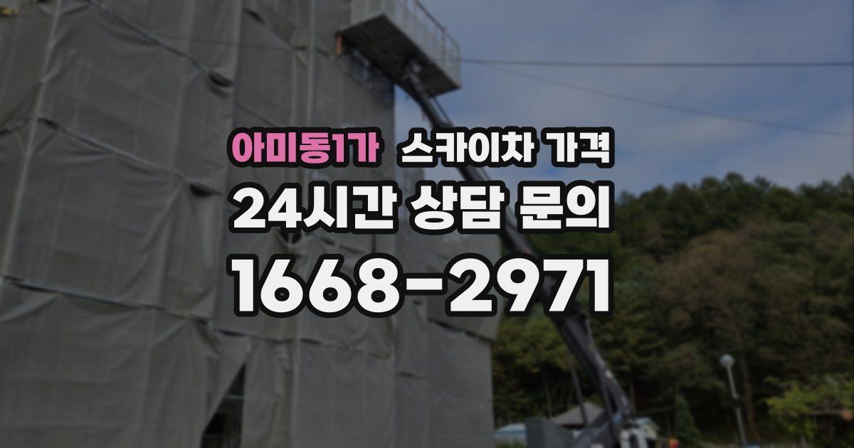 아미동1가 스카이차 가격