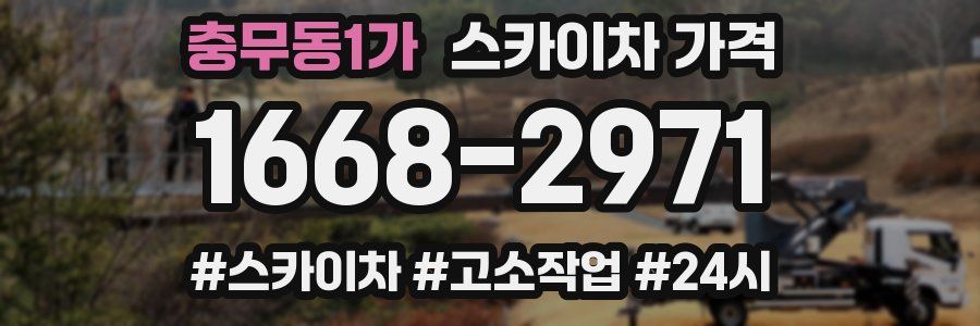 충무동1가 스카이차 가격