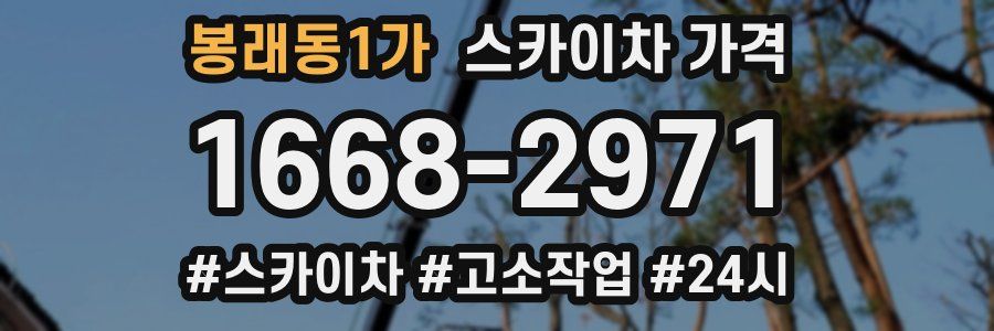 봉래동1가 스카이차 가격