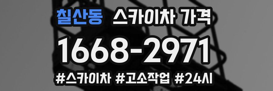 칠산동 스카이차 가격