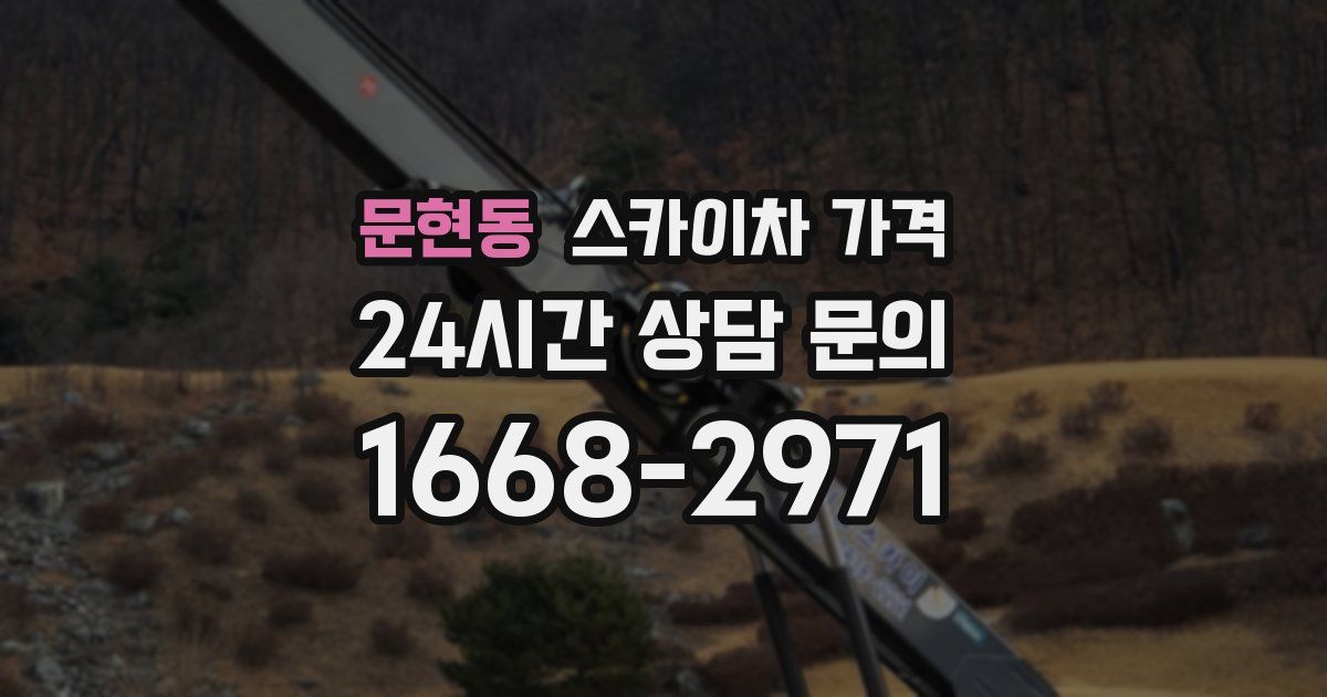 문현동 스카이차 가격