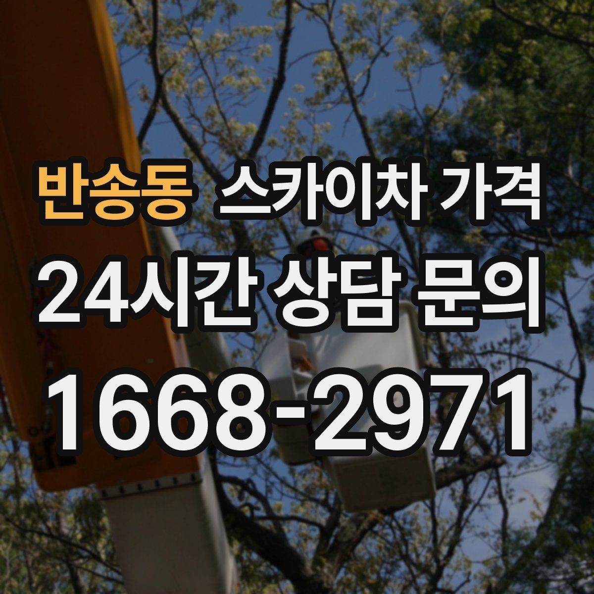 반송동 스카이차 가격 돌출간판은 왜 시간이 더 걸릴 수 있을까