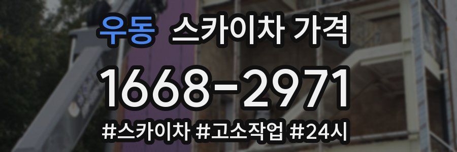 우동 스카이차 가격