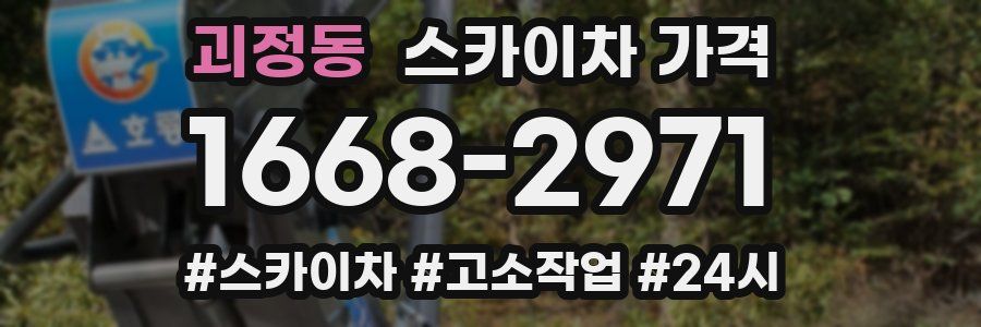 괴정동 스카이차 가격