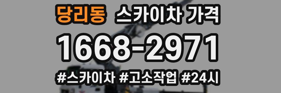 당리동 스카이차 가격