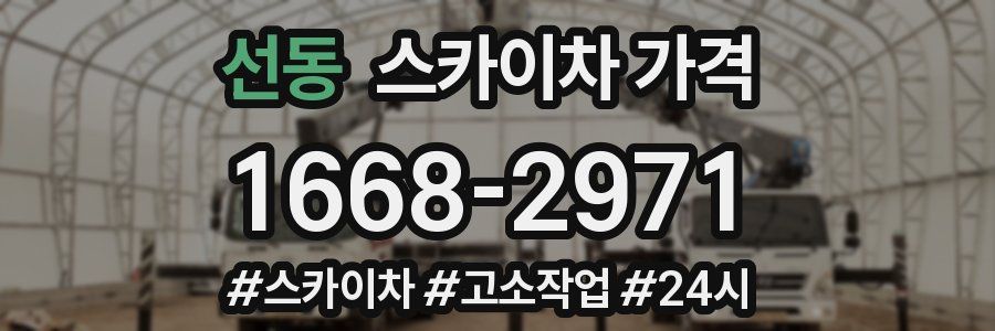 선동 스카이차 가격