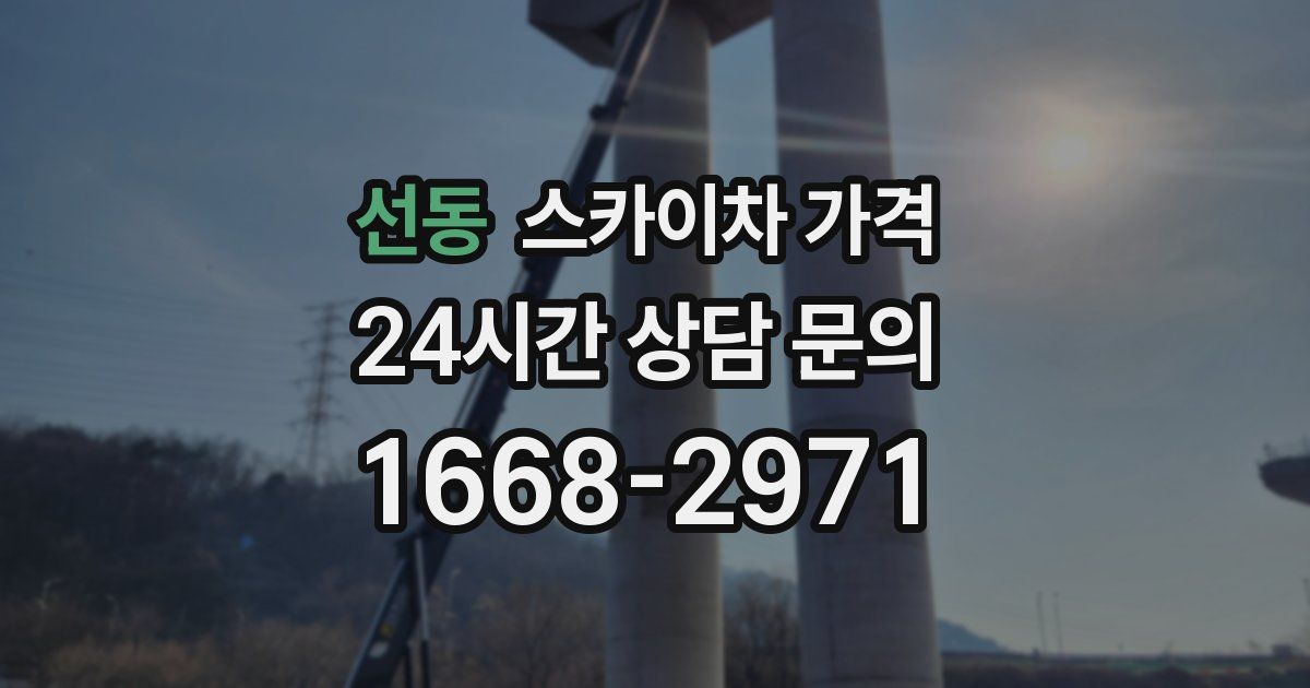 선동 스카이차 가격