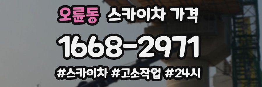 오륜동 스카이차 가격