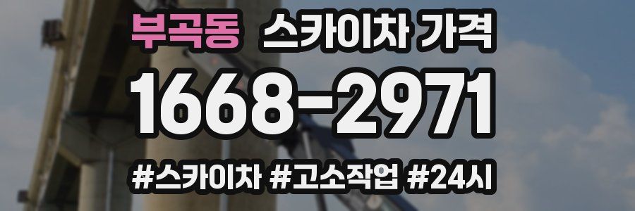 부곡동 스카이차 가격
