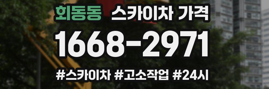 회동동 스카이차 가격