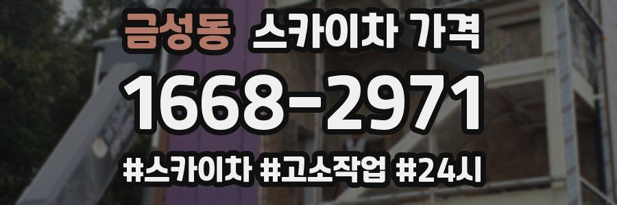 금성동 스카이차 가격