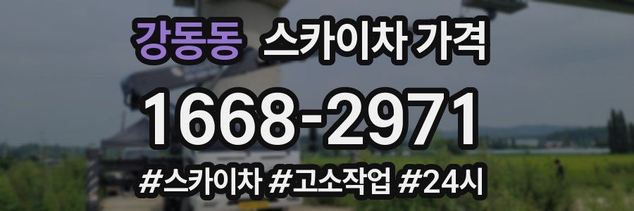 강동동 스카이차 가격