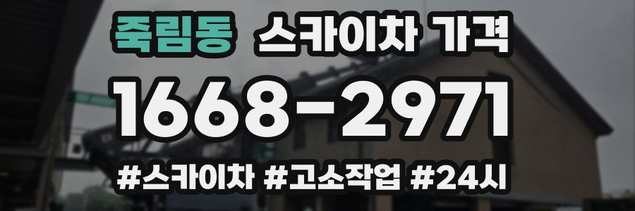 죽림동 스카이차 가격