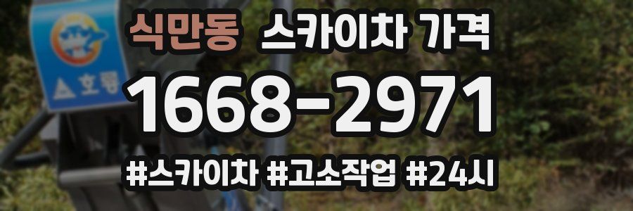 식만동 스카이차 가격