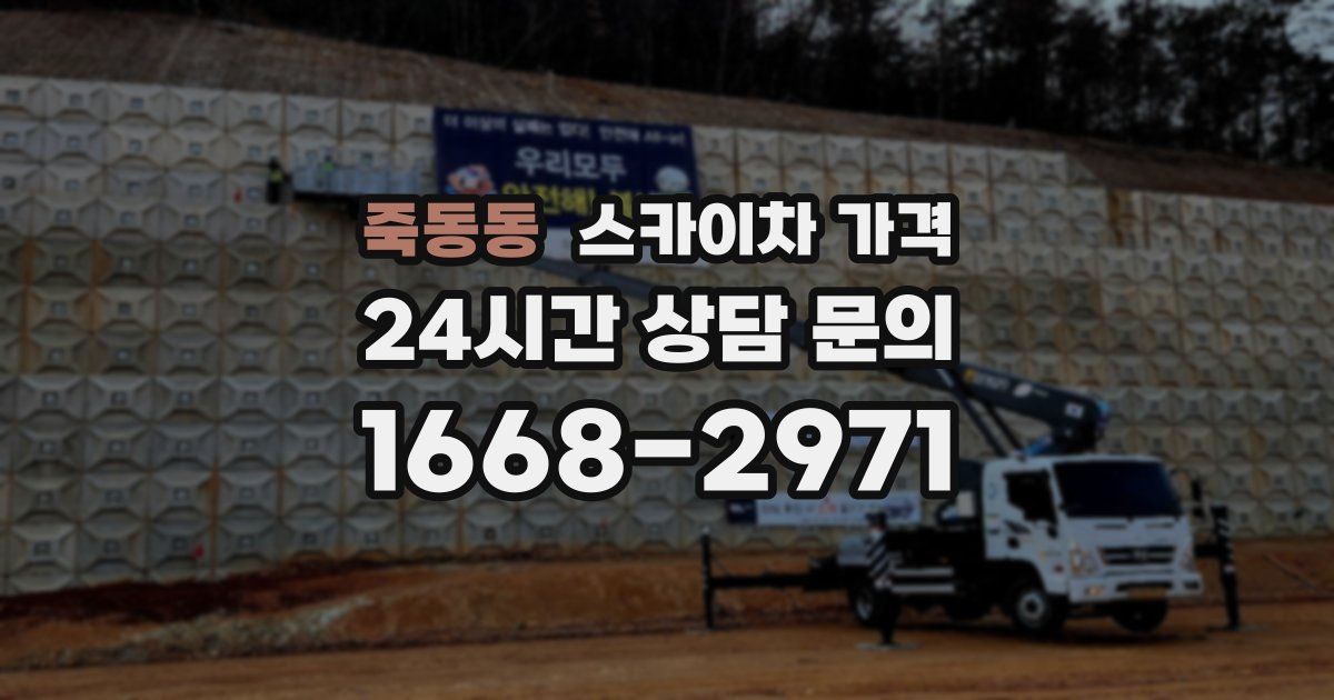 죽동동 스카이차 가격